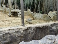 20170629 140924