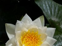 20180623 103040