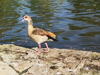 IMG 20181010 152110 Cropped