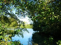 IMG 20181010 153339