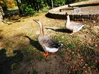 IMG 20181010 154213