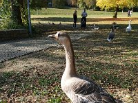 IMG 20181010 154318