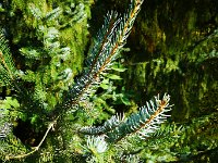 IMG 20181010 154735